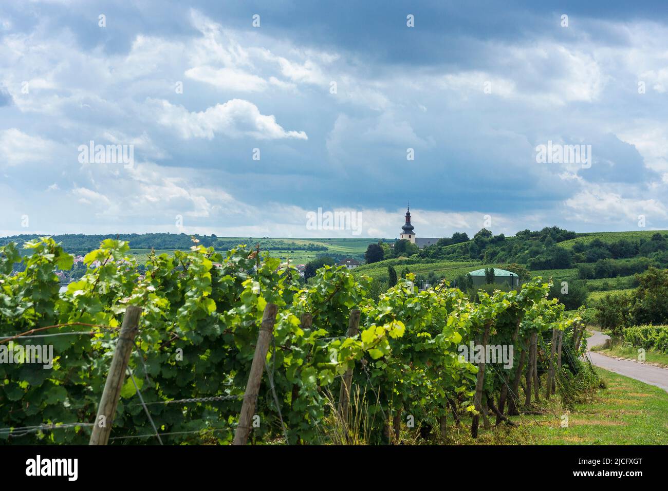 Germany, Rhineland-Palatinate, Rhine terraces near Nierstein, distant view Stock Photo