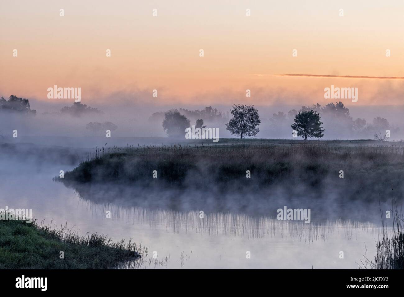 The picturesque landscape of the Elbe foreland at sunrise and ground fog before Bleckede Stock Photo