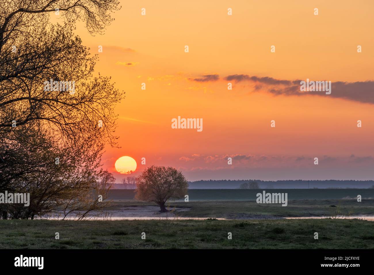 Sunrise on the Elbe near Bleckede Stock Photo
