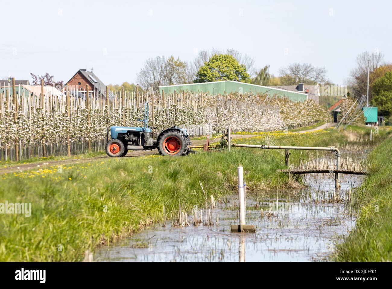 Fruit tree plantation near Jork in the Alte Land at apple blossom and a tractor which is used for irrigation Stock Photo
