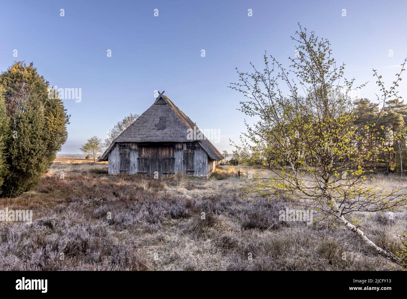View of a thatched sheep barn in the Lüneburg Heath in springtime Stock Photo