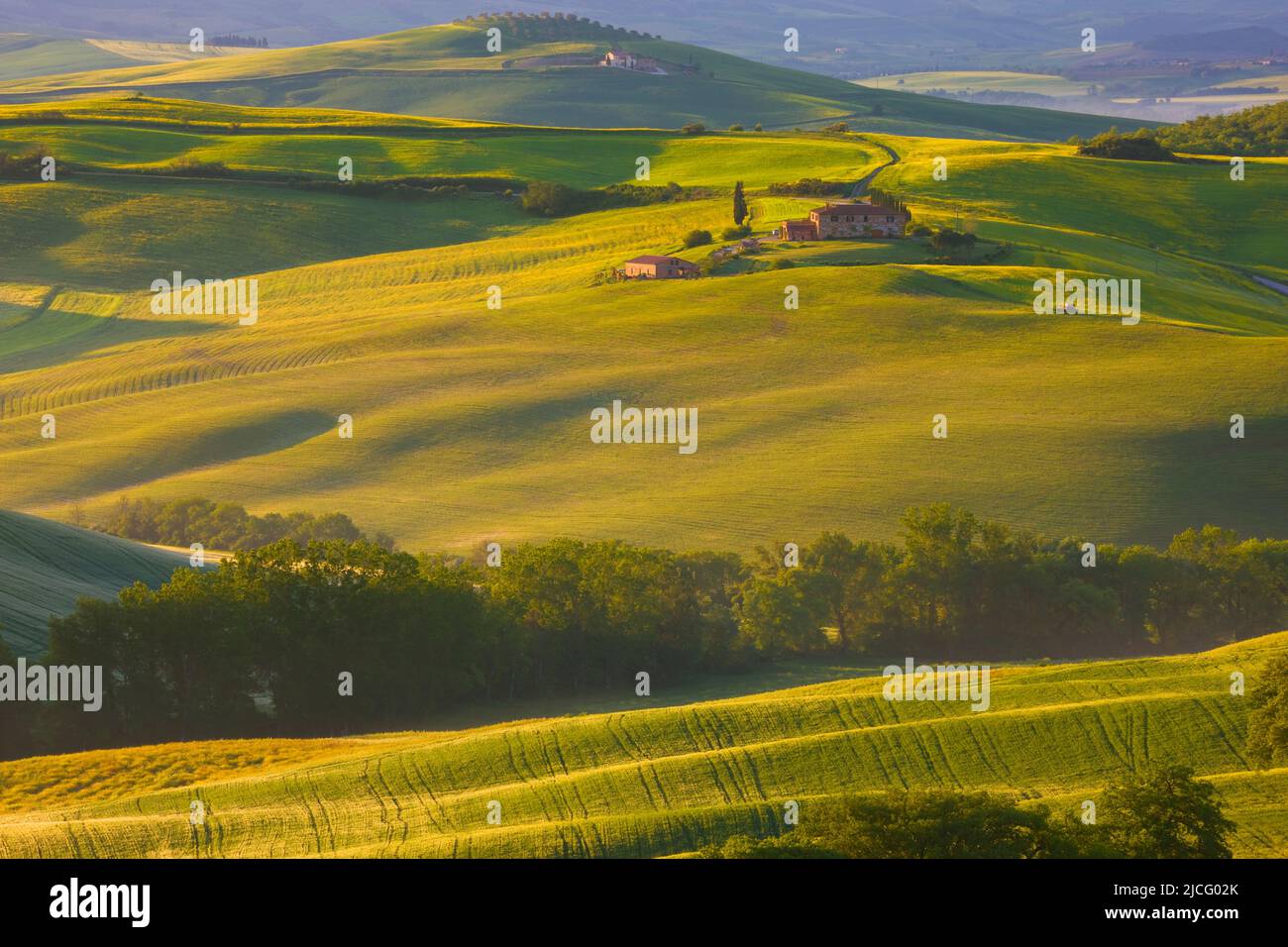 Countryside near Pienza, La Crete, Tuscany, Italy Stock Photo