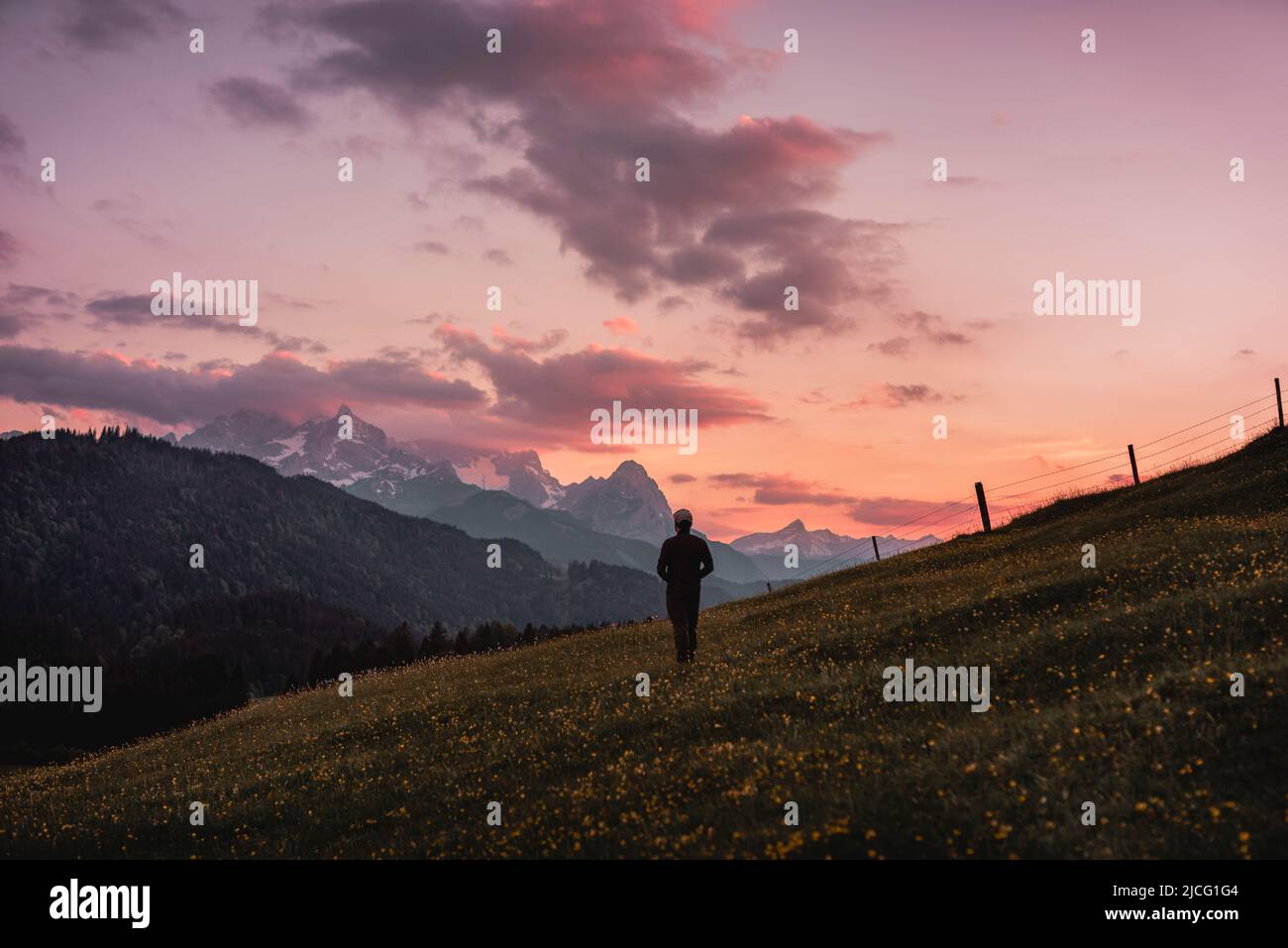 Person on flower meadow looking towards Zugspitz massif at sunset, Gerold, Germany Stock Photo