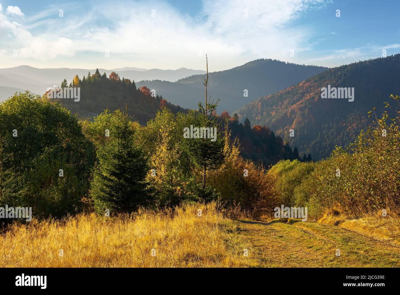 mountain landscape in autumn. trees in colorful foliage on the grassy hills. ridge in the distance beneath a sky with gorgeous clouds. beautiful natur Stock Photo