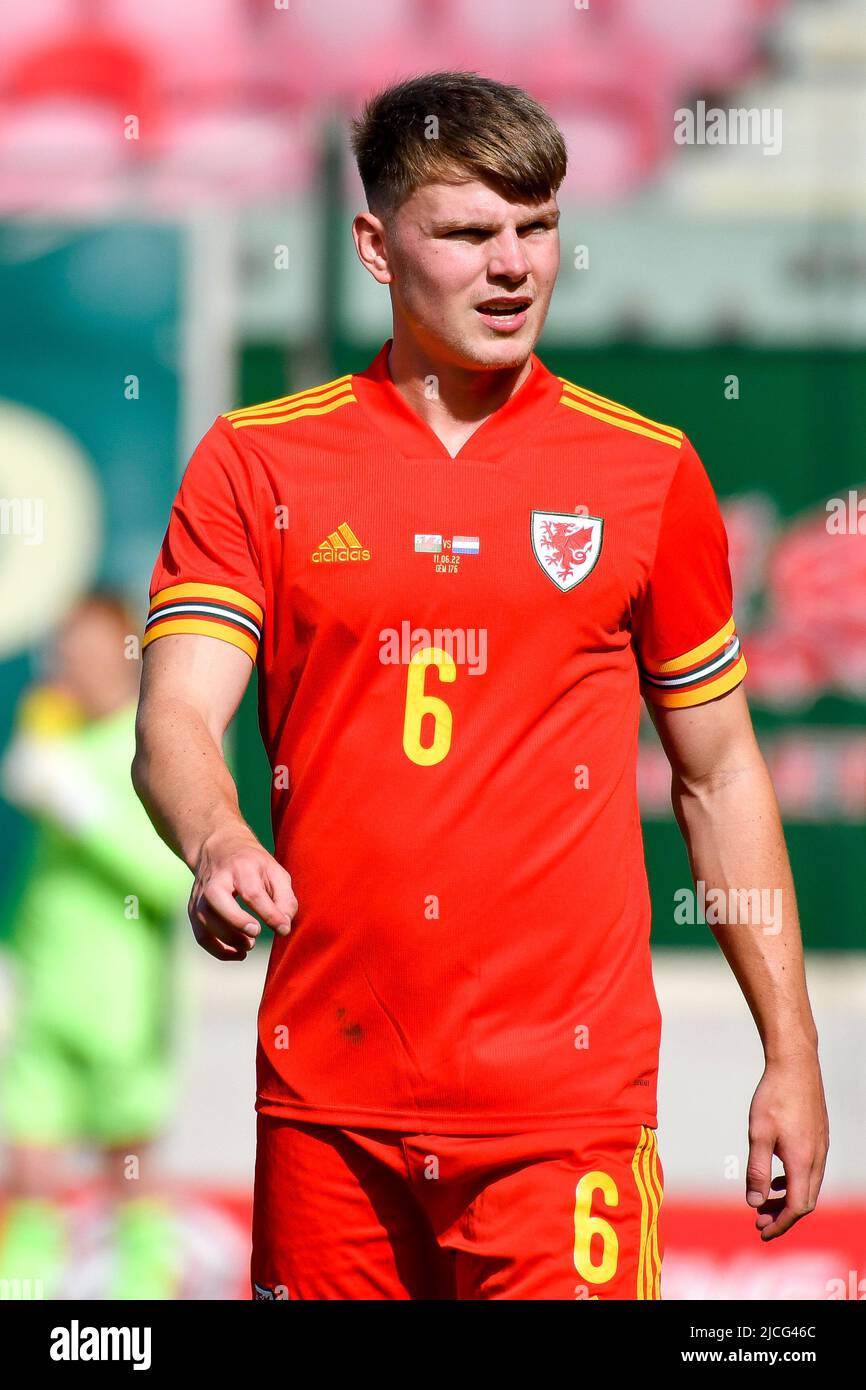 Netherlands wales football hires stock photography and images Alamy