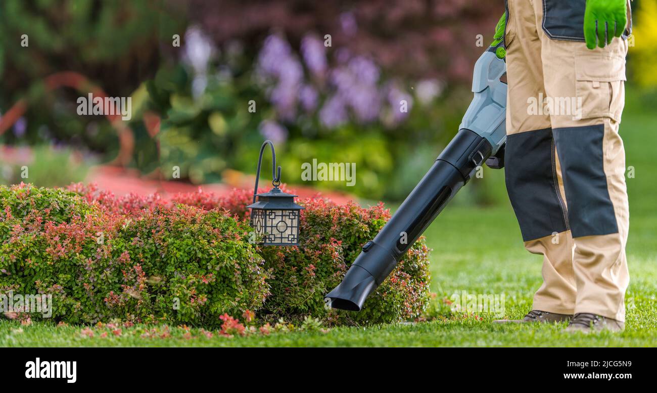 Professional Gardener with Leaf Blower in His Hand Cleaning Residential