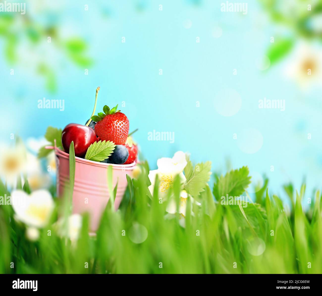 Fresh berries in bucket on the green grass. Summer season. Stock Photo