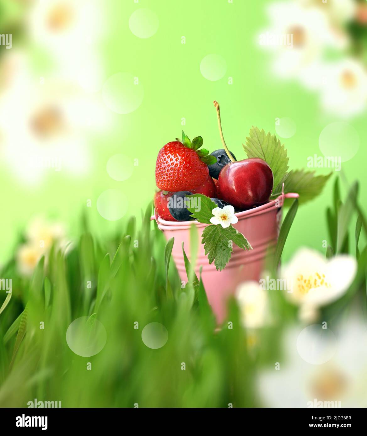 Fresh berries in bucket on the green grass. Summer season Stock Photo