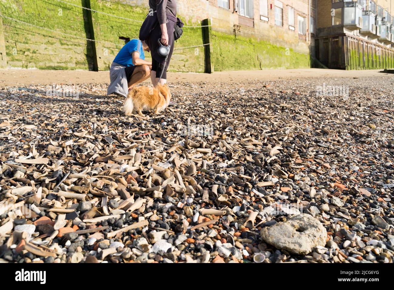 Littered river hi-res stock photography and images - Alamy