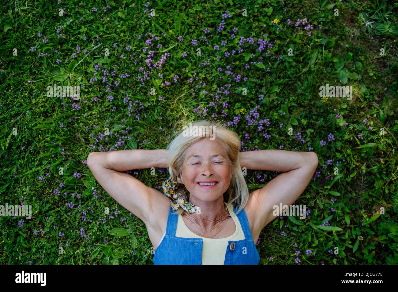 Top view of relaxed senior woman lying down in field of wild thymus flowers, herbal medicine concept. Stock Photo