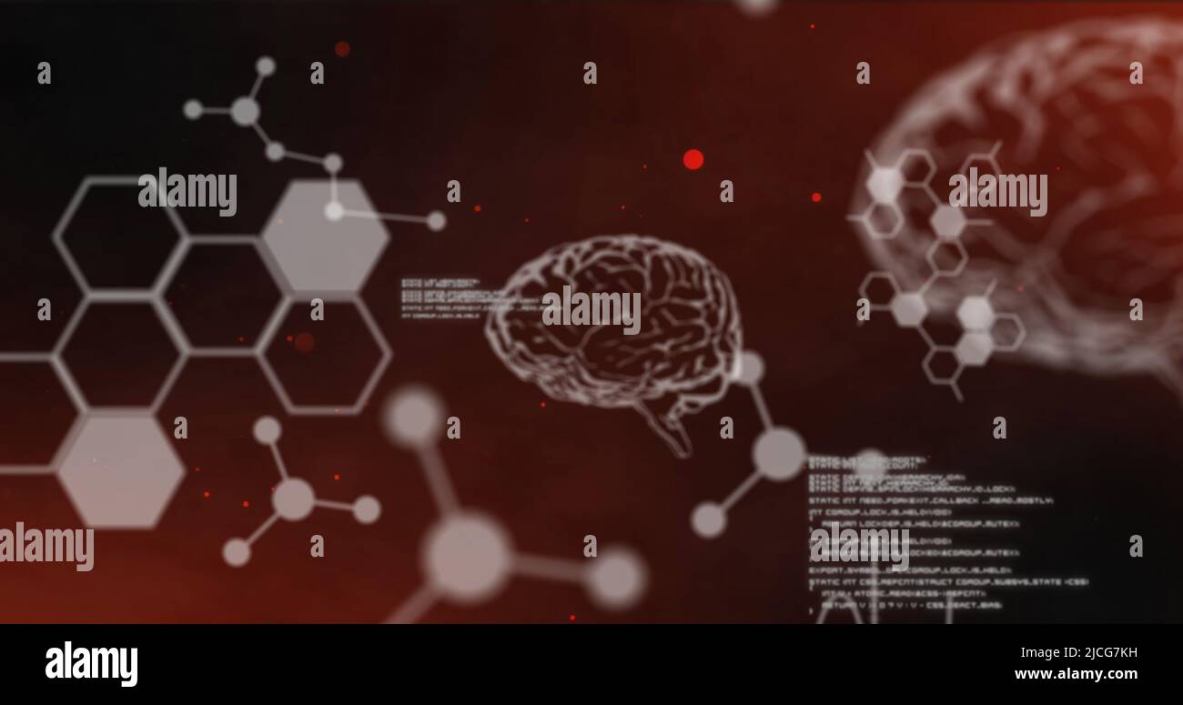 Image of data processing over digital brains on red background Stock Photo