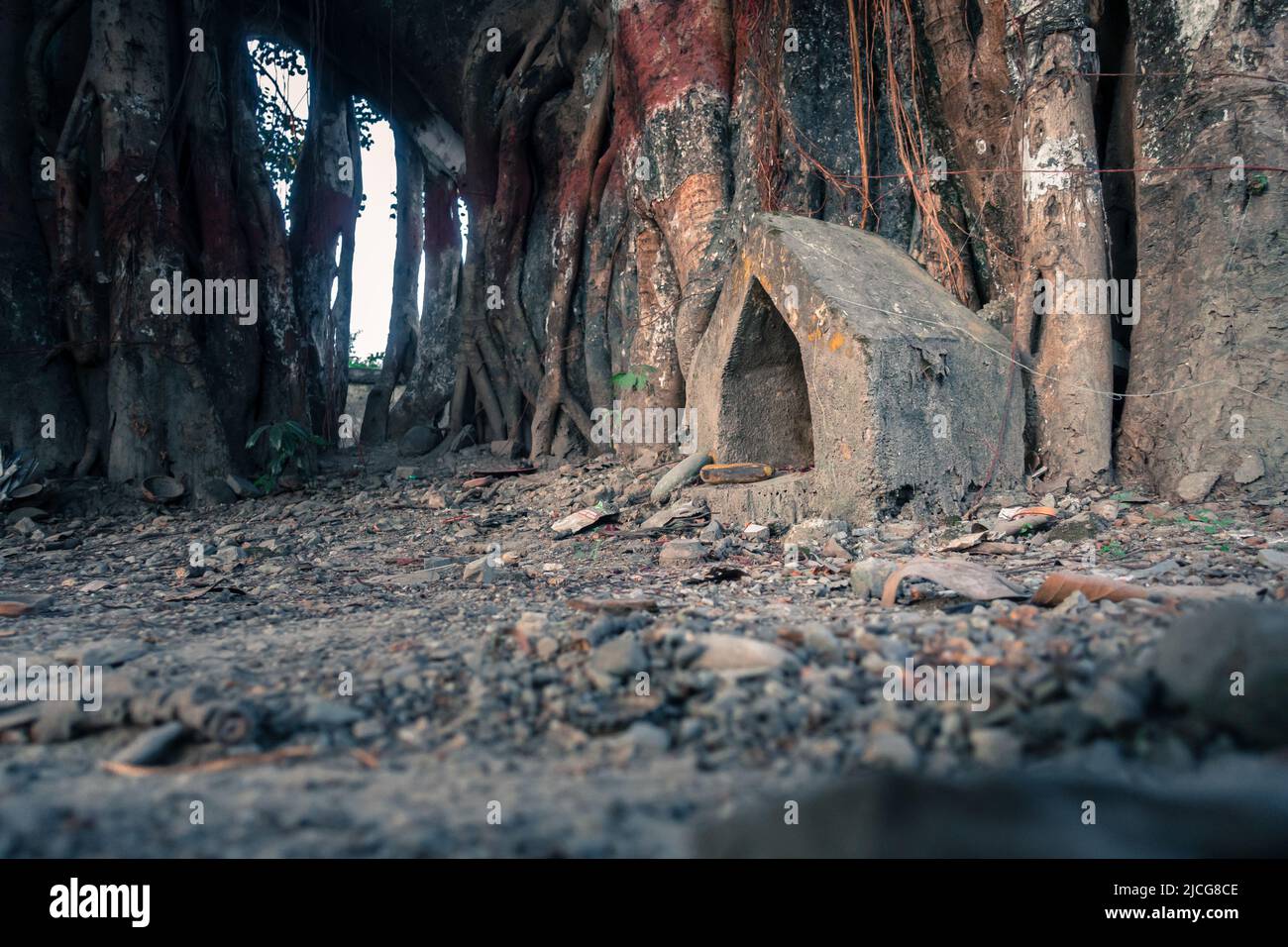 A small triangular prayer spot of Hindu deity under a banyan tree. Dehradun Uttarakhand India. These small triangular monument are very common in Hind Stock Photo