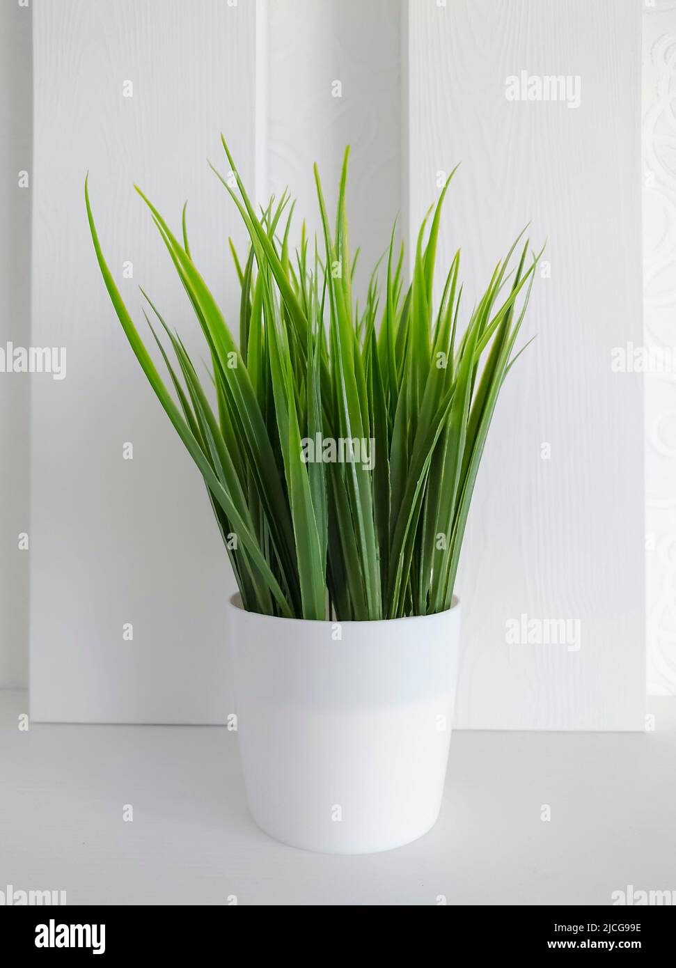 Decorative artificial grass in a pot for the interior of the room Stock