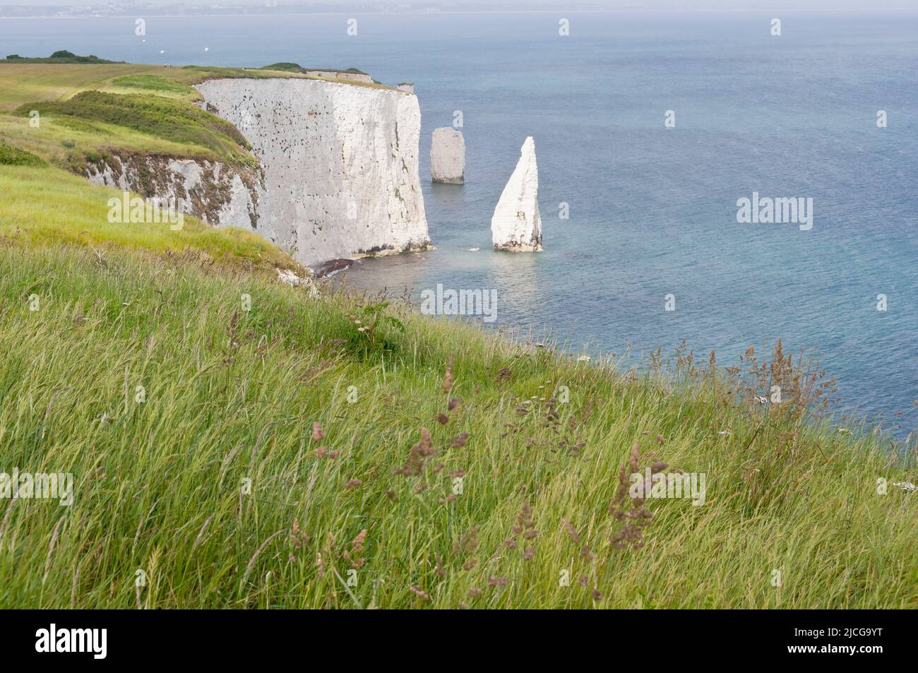 Old Harry Rocks and the Pinnacles, Dorset, England Stock Photo - Alamy