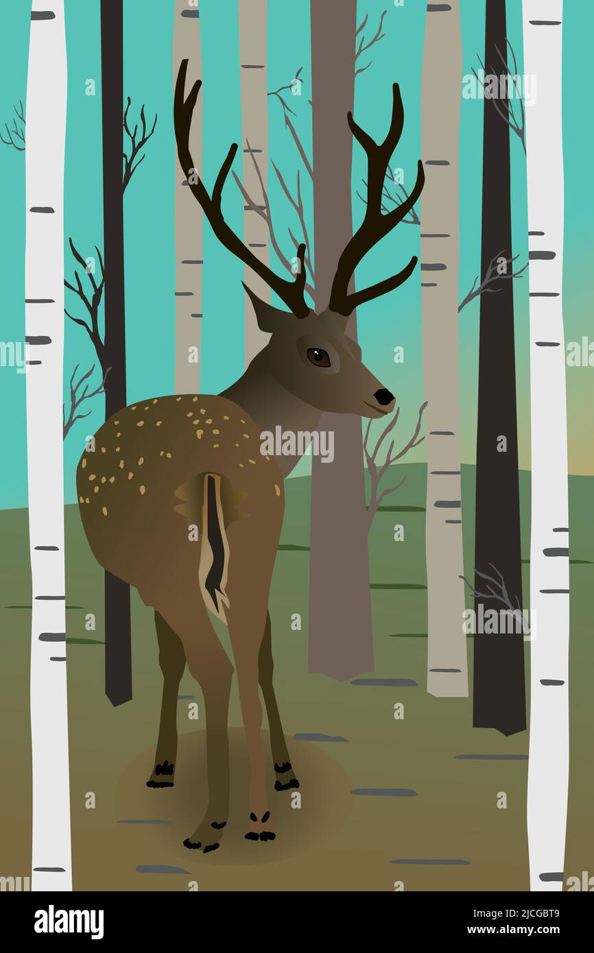 A vector illustration of a deer in the forest. You see the animal from its behind and it looks backwards at you. It's a male deer with antlers. Stock Vector