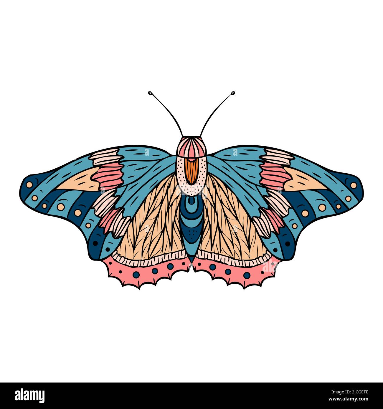 Night butterfly, moth. Hand drawn vector illustration Stock Vector Image & Art Alamy