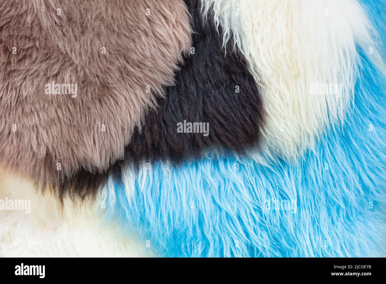 Pattern of different colorful sheep wool rugs Stock Photo