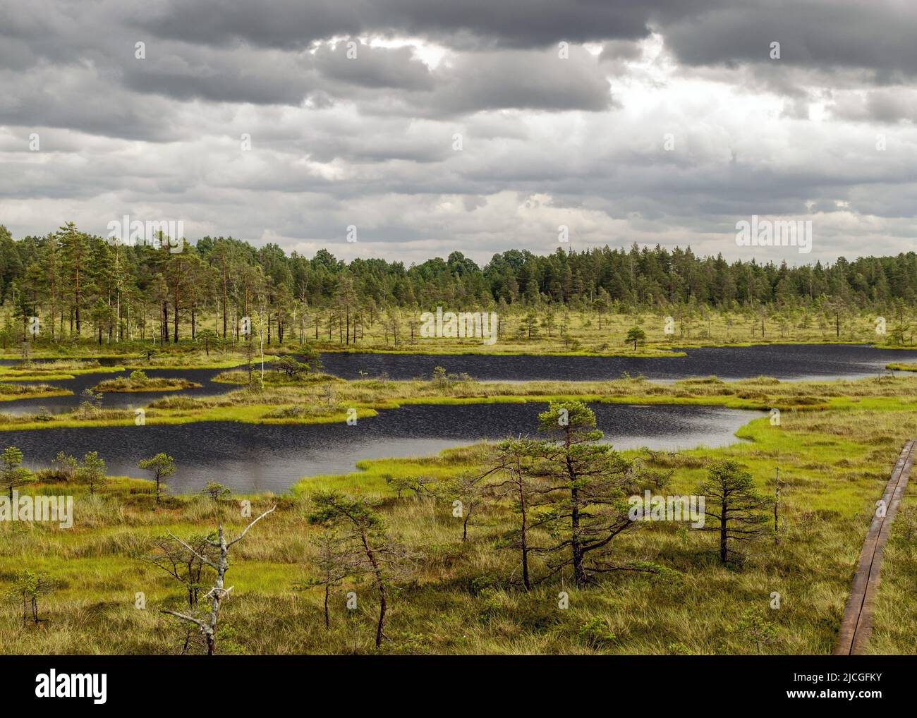 landscape with a pedestrian wooden footbridge over swamp wetlands with ...