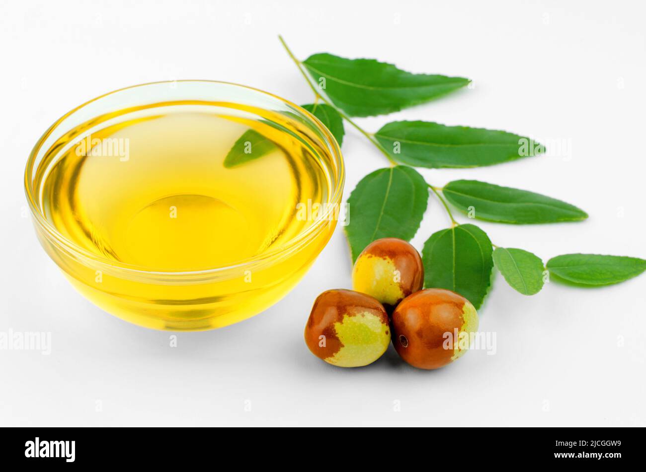 Bowl with jojoba oil, ripe fruits and green leaves on white background Stock Photo