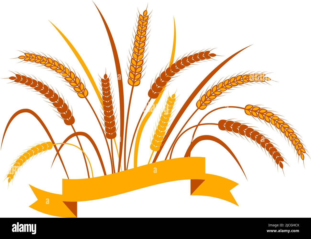 A bunch of ears of wheat with a ribbon for text on a transparent background. Two color vector illustration Stock Vector