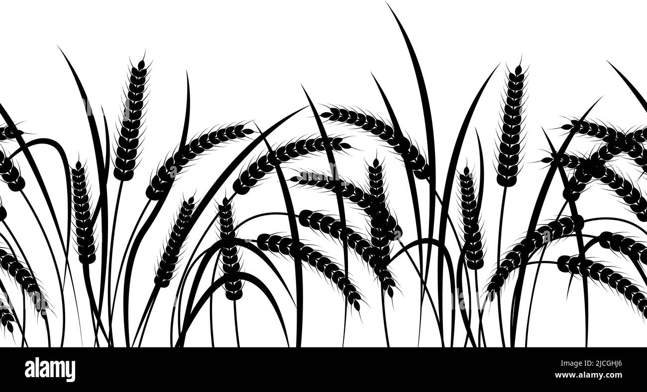 Ears of wheat on a transparent background. Horizontal seamless pattern. Black and white vector illustration Stock Vector