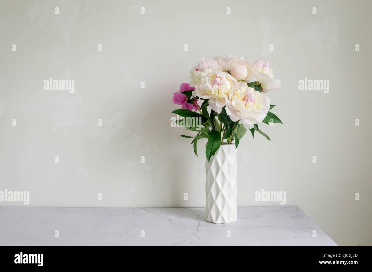 Beautiful bunch of fresh white peonies in full bloom in vase against ...