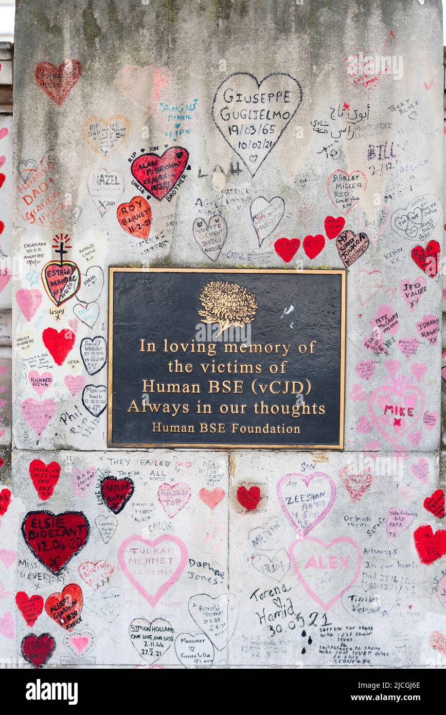 Plaque in memory of victims of Human BSE, enveloped by National Covid Memorial Wall in Lambeth, London. Red hearts representing deaths from COVID 19 Stock Photo