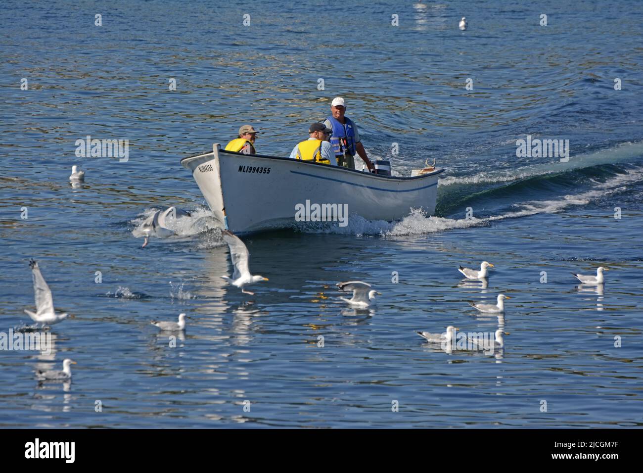 Fishermen boat  with seagulls around Stock Photo