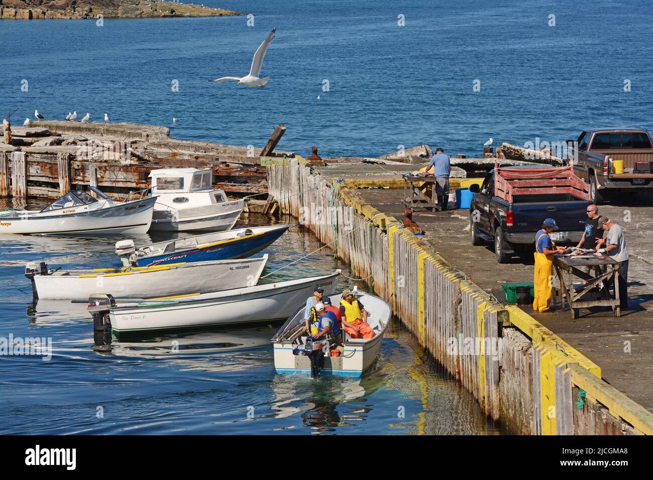 Fishermen wharf, Bonavista, newfoundland Stock Photo