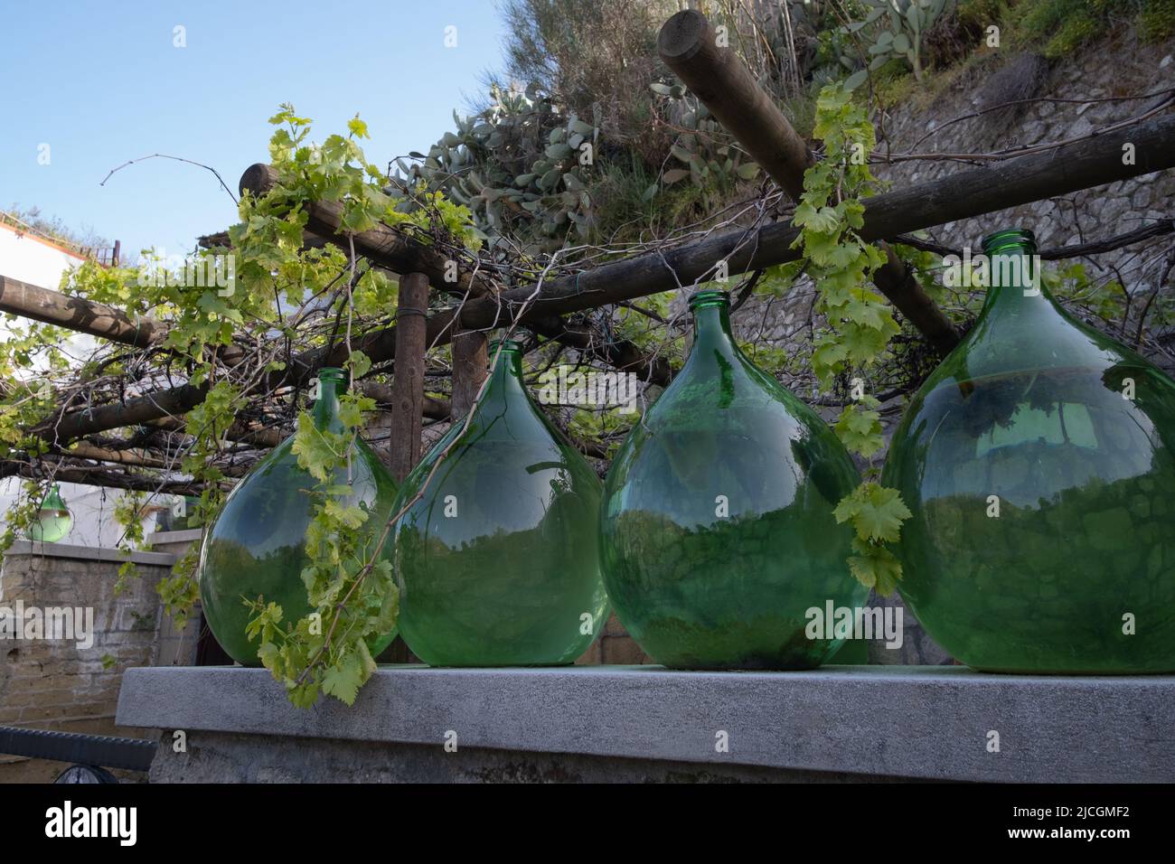 Old big wine bottles in the vineyard Stock Photo
