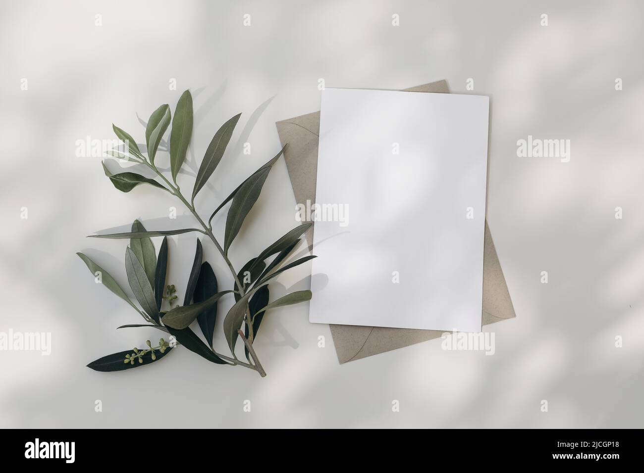 Summer wedding stationery. Blank greeting card, invitation mock-up scene with craft envelope Blooming green olive tree leaves, branch isolated on Stock Photo