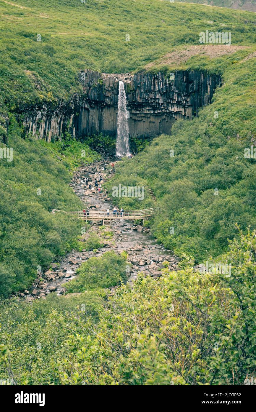 Scenic Svartifoss waterfall view from the trail in summer, Iceland Stock Photo