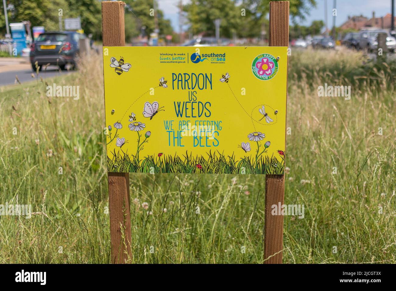 Southend on sea, UK. 13th June, 2022. Signs in a central reservation, pardon us weeds we are feeding the bees, part of a rewilding campaign by Southend on Sea Borough Council. Penelope Barritt/Alamy Live News Stock Photo