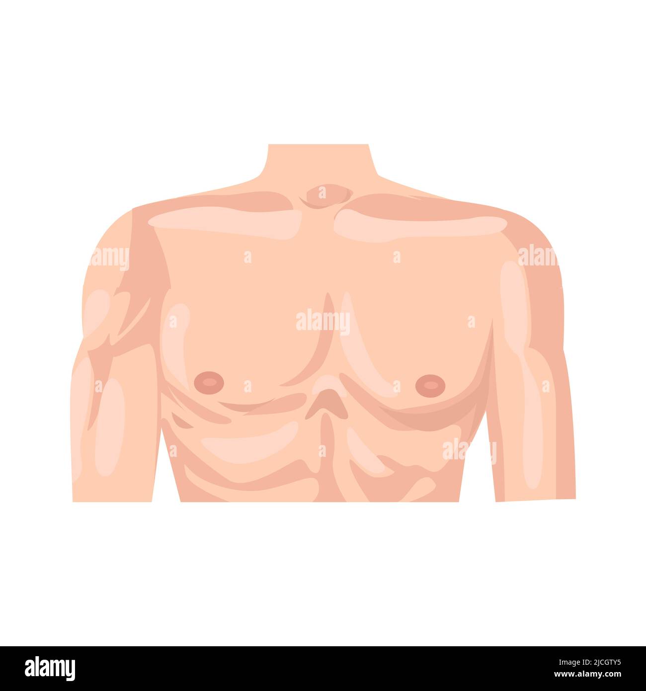 Body Part Chest Clipart 21+ Thousand Neck Body Part Royalty Free