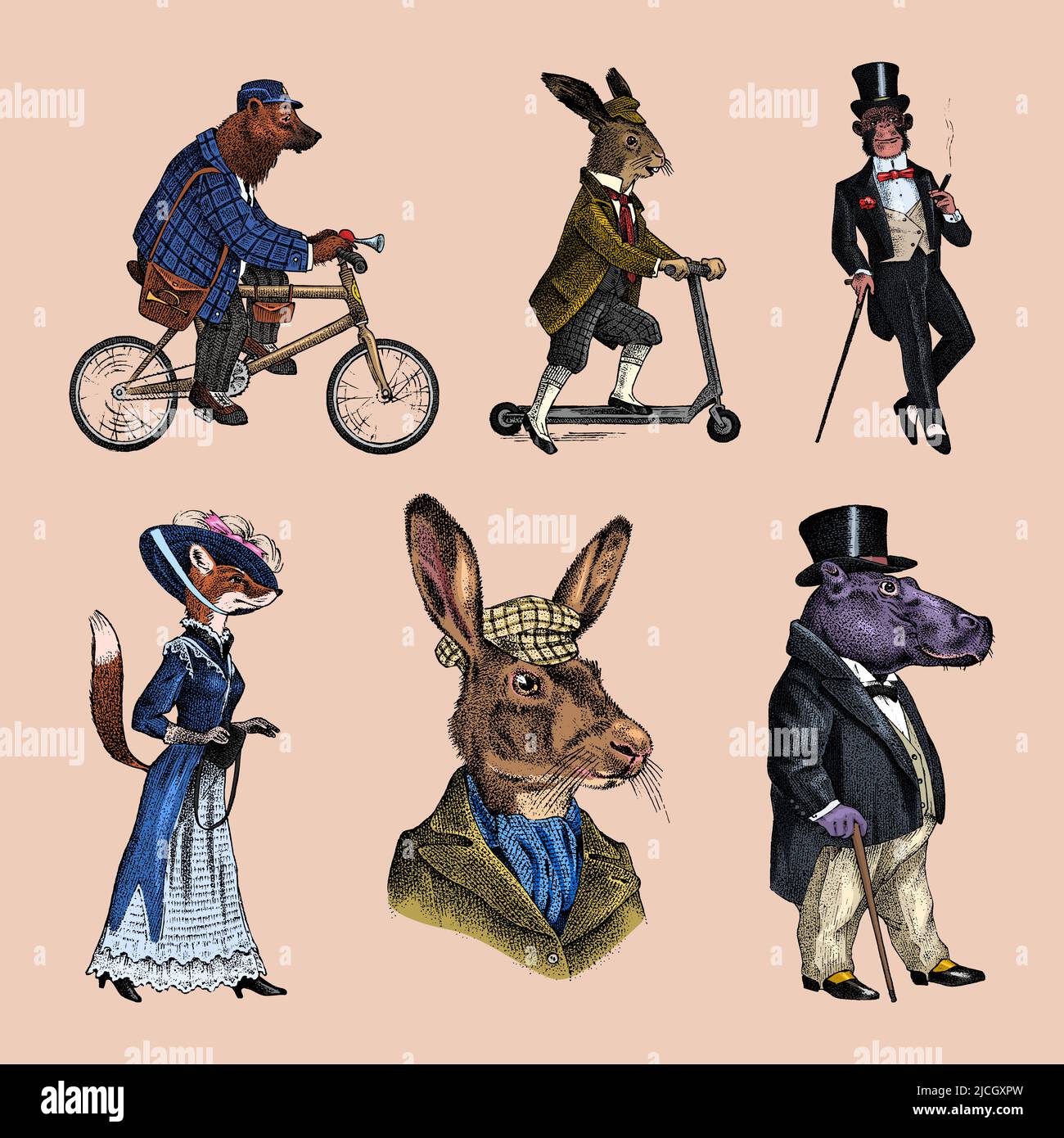 Brown bear rides a bike. Fox and monkey, hippopotamus and Hare or rabbit on a scooter. Antique gentleman in a cap and coat. Victorian man. Vintage Stock Vector