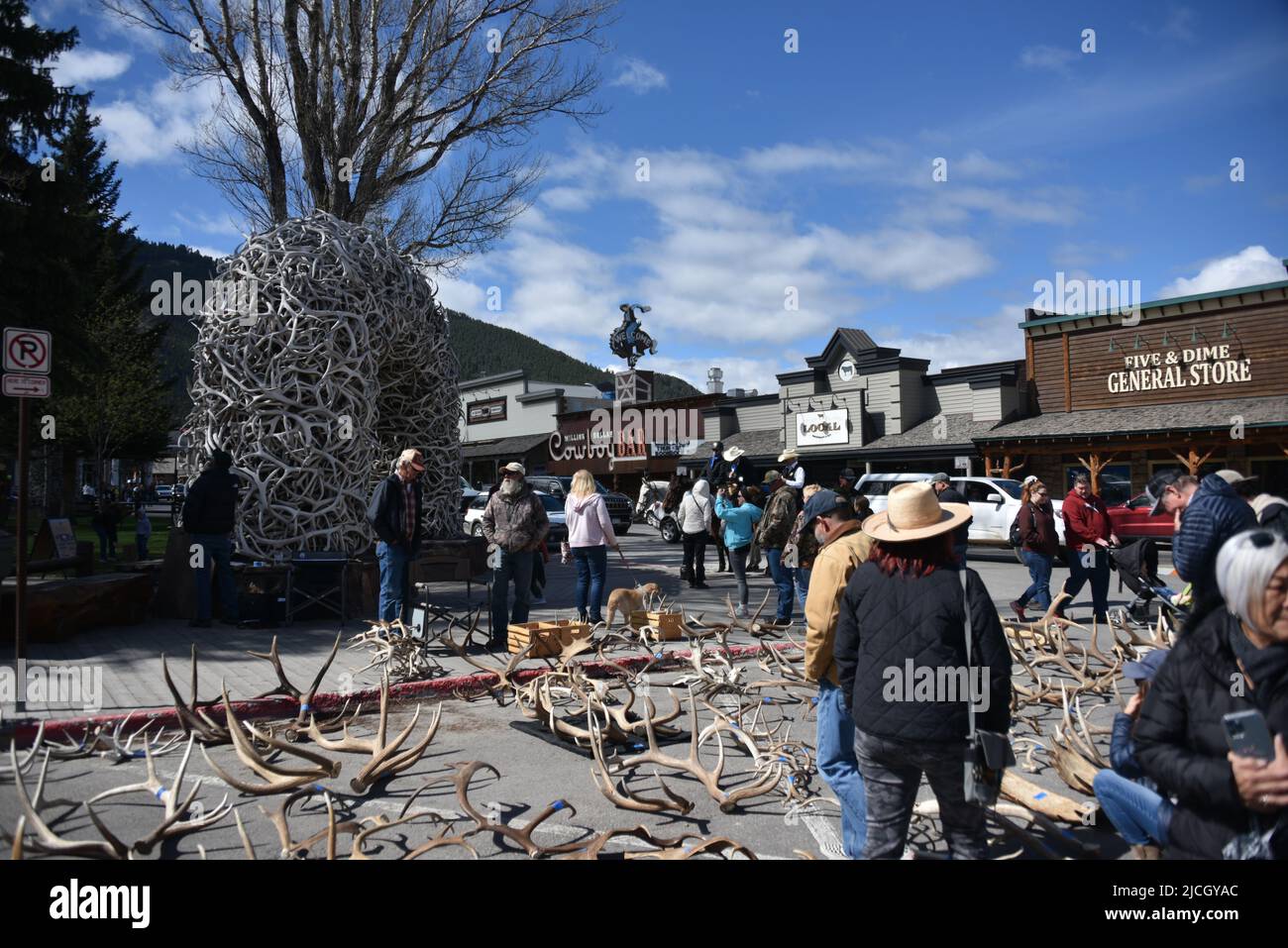 Jackson, WY. USA. 5/21/2022. Boy Scouts of America annual elk and moose