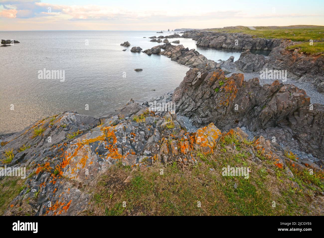 Newfoundland - rugged coast Stock Photo