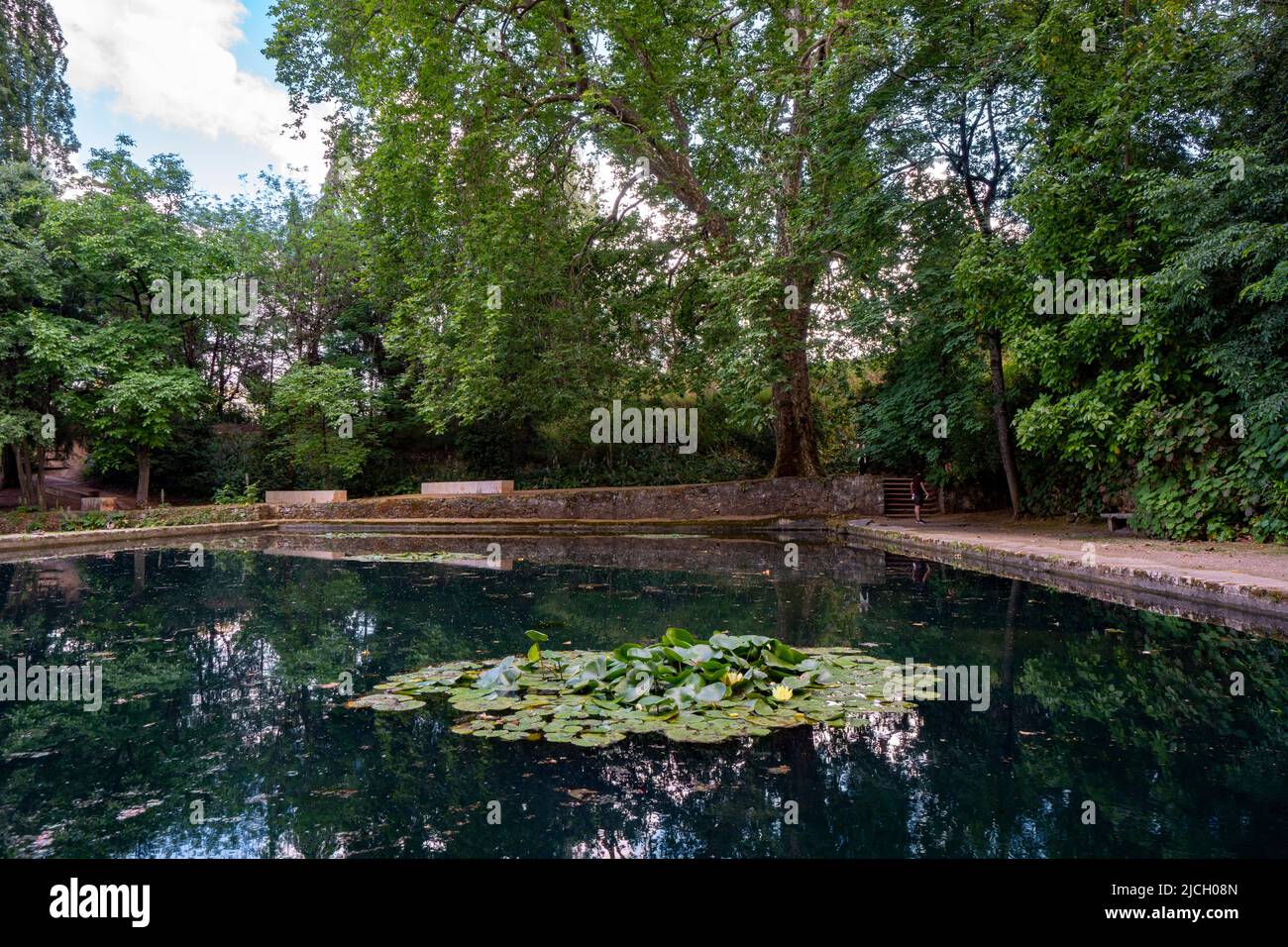 Water lilies floating on a garden pond at Quinta das Lágrimas, Coimbra, Portugal, Europe Stock Photo