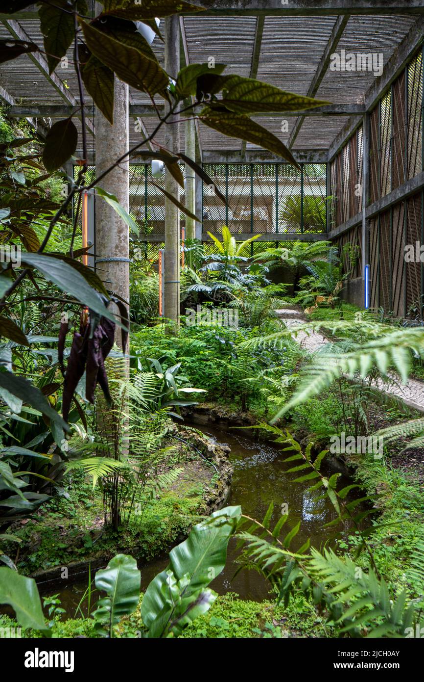 Shade greenhouse at the Jardim Botânico Botanical Garden of the University of Coimbra, in Coimbra, Portugal, Europe Stock Photo