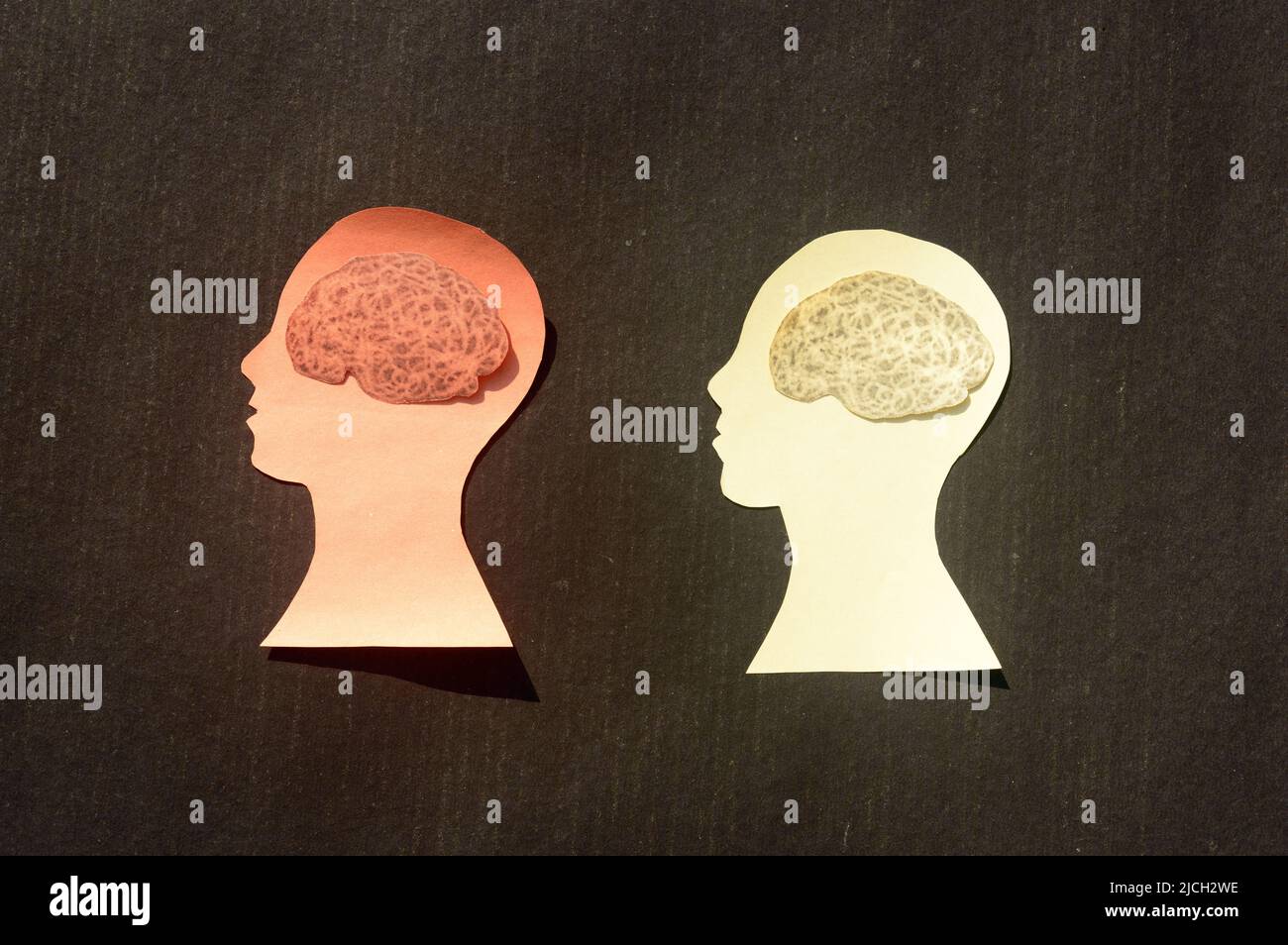 Two People Human Brain Isolated Within Human Head. Paper Illustration ...