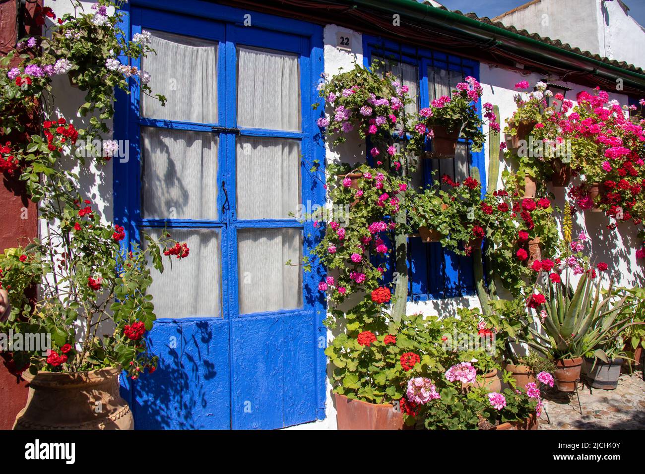 Patio lleno de flores en primavera. Paredes blancas y puertas, ventanas y macetas en color azul. Córdoba, España. Stock Photo