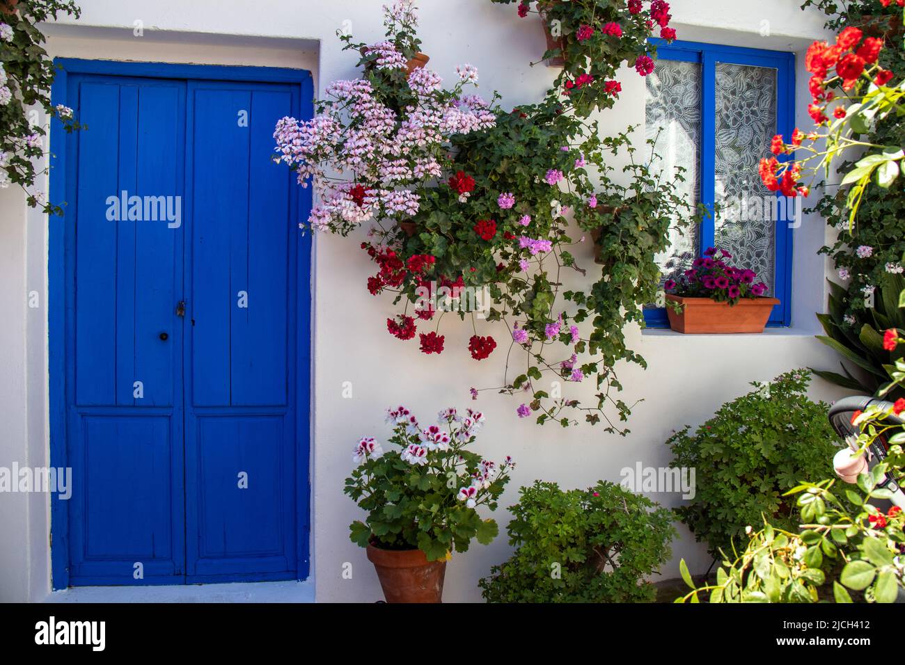 Patio lleno de flores en primavera. Paredes blancas y puertas, ventanas y macetas en color azul. Córdoba, España. Stock Photo