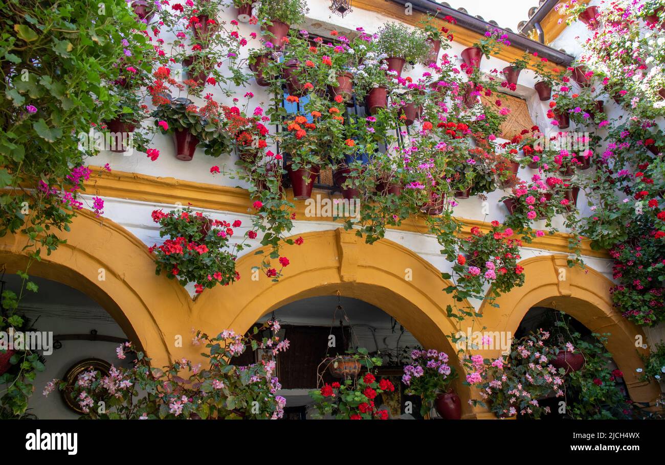Flores primavera hi-res stock photography and images - Alamy