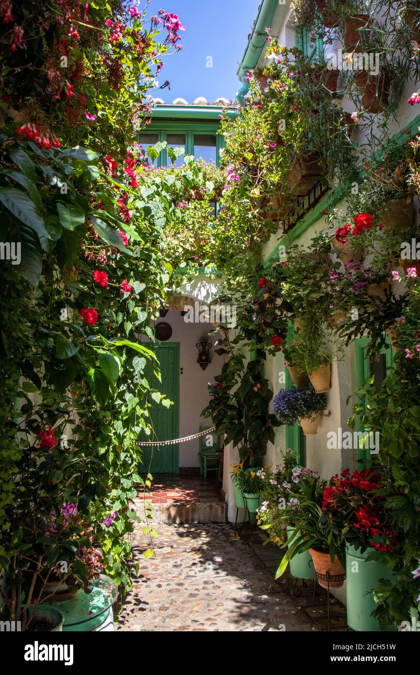 Primavera españa hi-res stock photography and images - Alamy