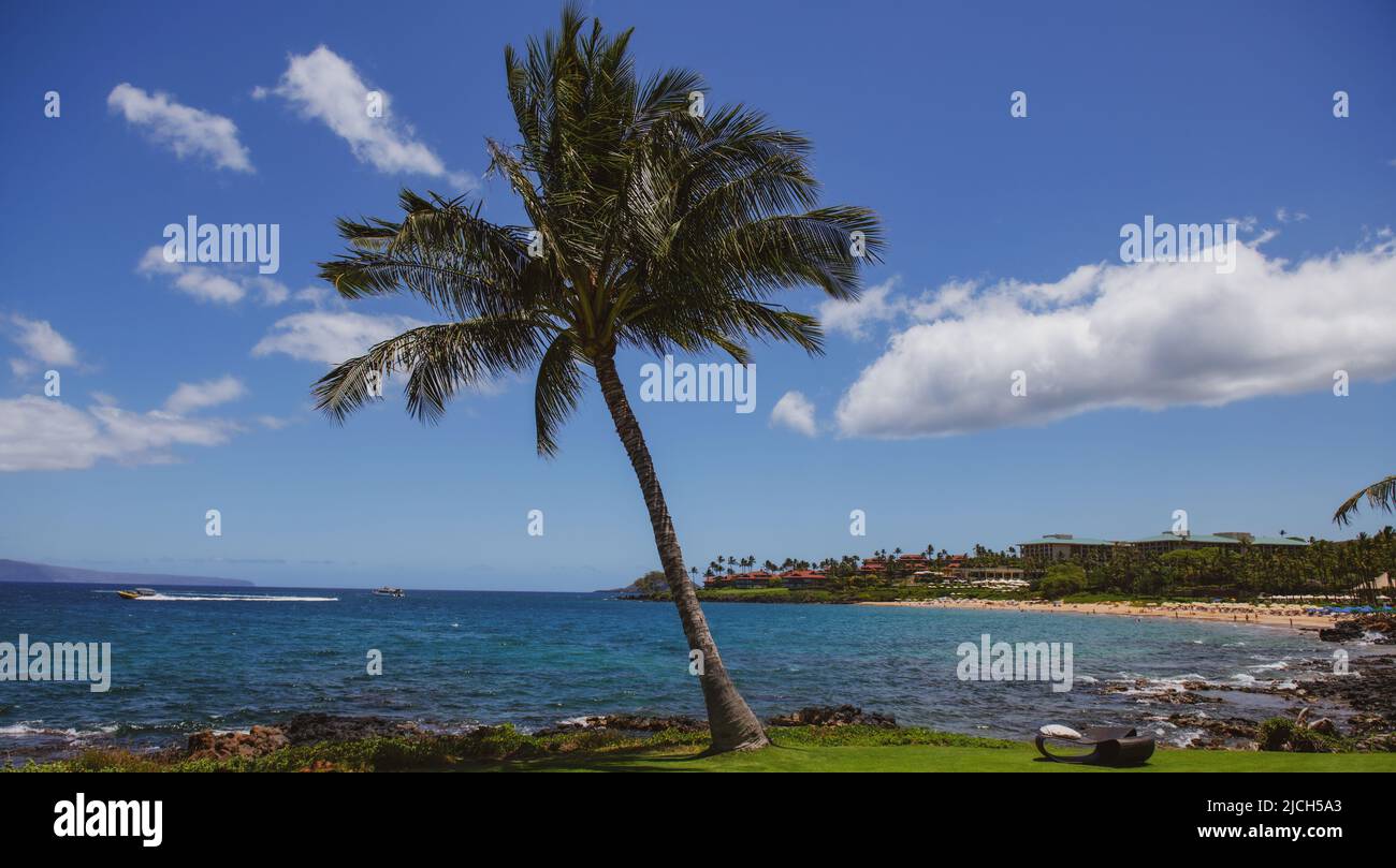 Beach in Hawaii, Dream landscape. Paradise Sunny beach with turquoise sea. Summer vacation and tropical beach concept. Stock Photo