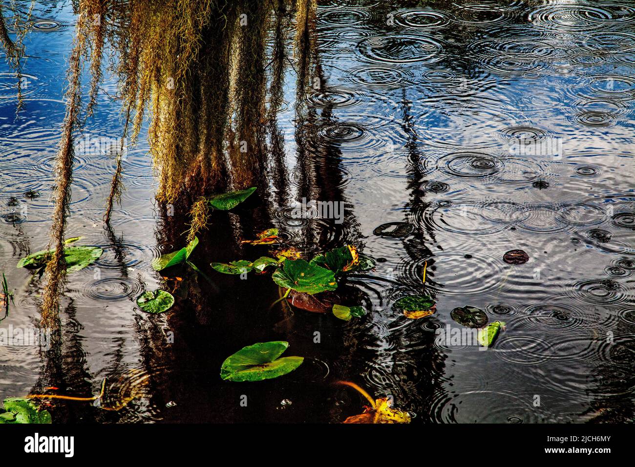 Florida rain clouds hi-res stock photography and images - Alamy