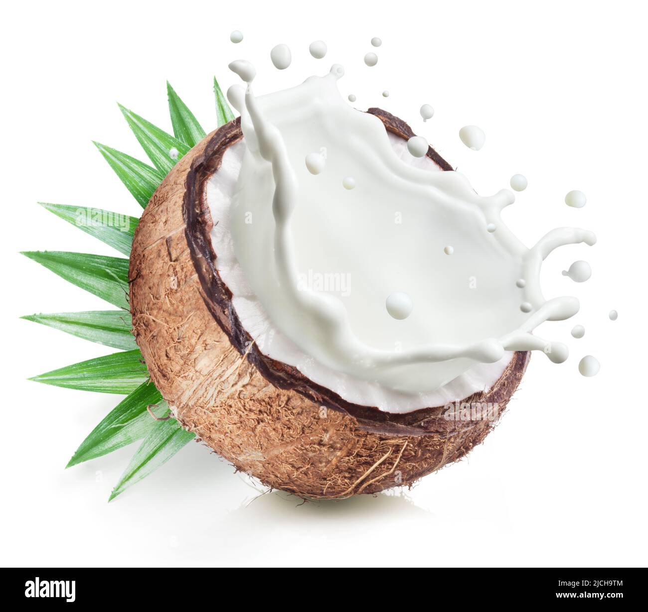 Coconut nut with coconut milk splash from within and leaves isolated on