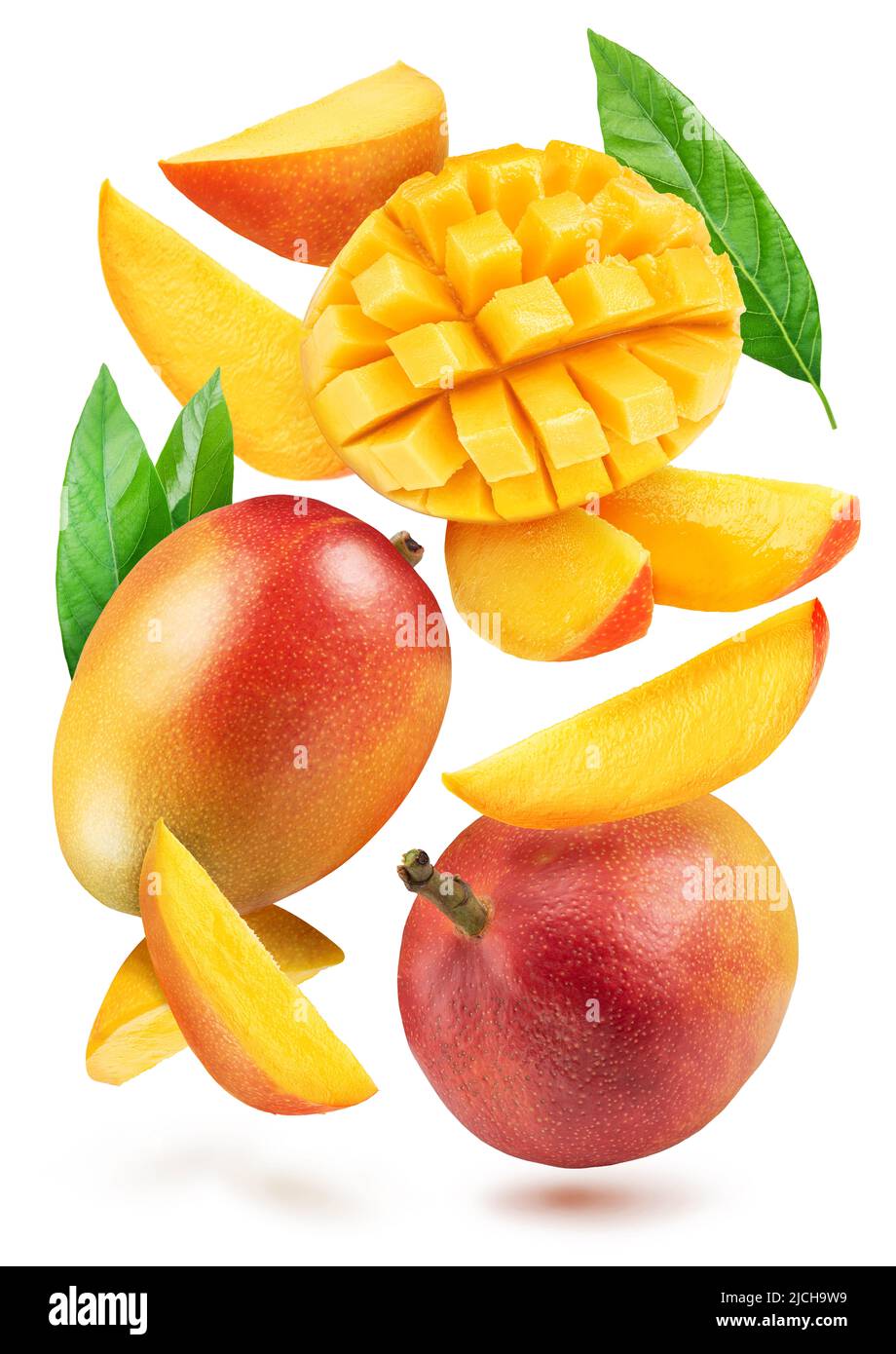 Collection of mango fruits, mango cubes and slices levitating in the