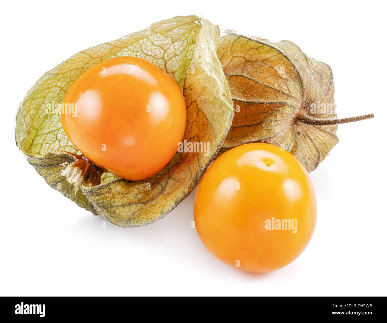 Ripe physalis or golden berry fruits in calyx isolated on white background. Stock Photo