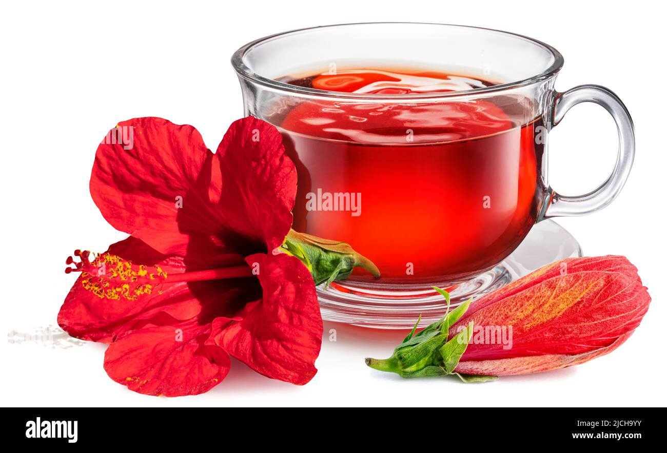 Glass transparent cup with hibiscus tea with big flower and hibiscus burgeon isolated on white background. Stock Photo
